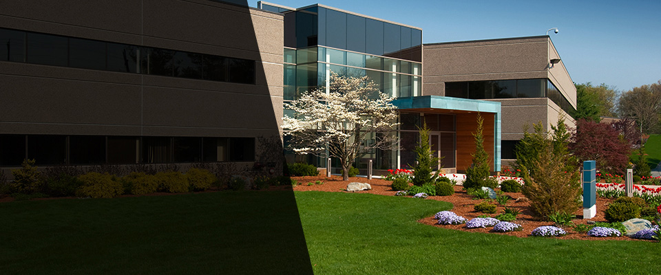 Waldorf Landscapers